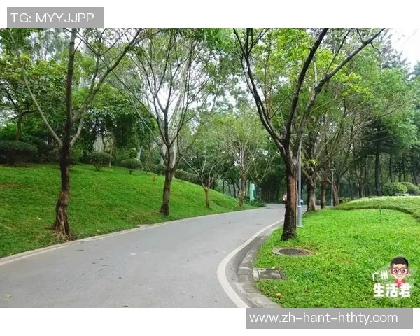 广州三中足球场周边美食探秘与运动休闲活动推荐 广州三中足球场周边美食探秘与运动休闲活动推荐